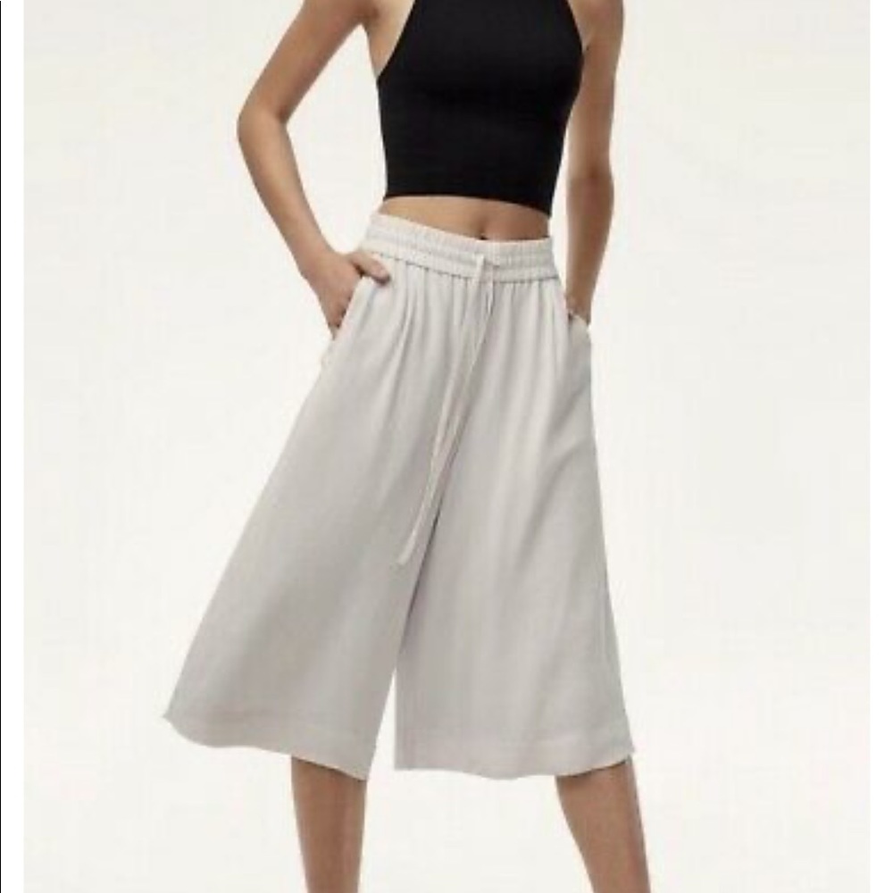 Babaton Light Grey/Tan Luiz Aritzia Tie Pants